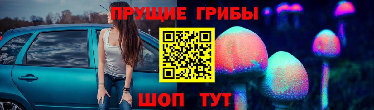 Галлюциногенные грибы мицелий  Вход с VPN  Камышин  Галлюциногенные грибы Cubensis 